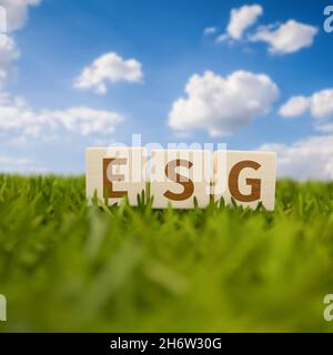 Les lettres ESG (Environment social Governance) sur des cubes de bois debout dans l'herbe avec un fond bleu ciel.Concept des normes ESG en matière d'investissement. Banque D'Images