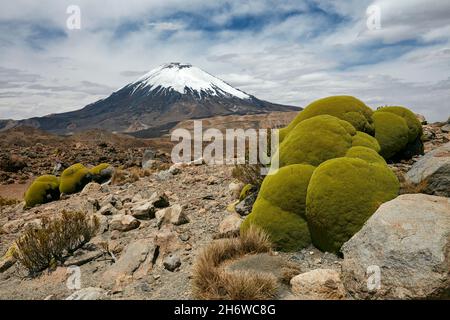 L'usine de Llareta en face du volcan Licancabur Banque D'Images