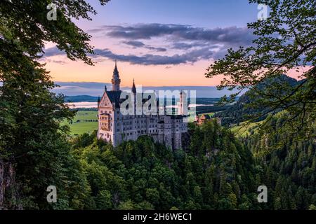 Vue panoramique sur le château de Neuschwanstein au coucher du soleil. Banque D'Images