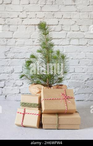 Nouvelle année et arbre de Noël mini plante avec boîtes-cadeaux Banque D'Images