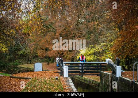 Un volontaire est entouré par la couleur de l'automne alors qu'il peint les portes d'écluse dans le village de Llangynidr sur le Monbucshire et le canal de Brecon dans le sud du pays de Galles.Le Royaume-Uni bénéficie d'un temps saisonnier doux avant qu'il ne soit prévu de se refroidir avec la possibilité de tomber la neige la semaine prochaine. Banque D'Images