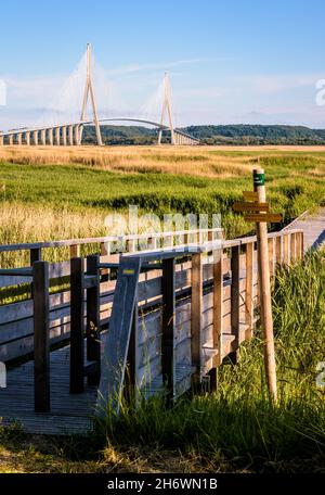 Des promenades en bois sont établies dans les marécages autour du pont de Normandie, un pont routier à câbles au-dessus de la Seine reliant le Havre à Honfleur en France. Banque D'Images