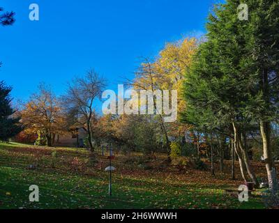 Le soleil ramasse les couleurs de l'automne sur la petite exploitation de la lande Banque D'Images