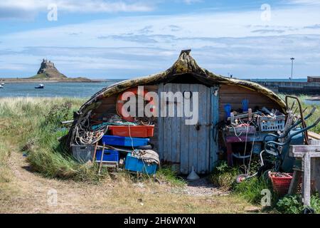 Des abris de bateau attrayants fabriqués à partir de bateaux de hareng reconvertis en bois, Lindisfarne Harbour, Holy Island.Le château de Lindisfarne est en arrière-plan. Banque D'Images