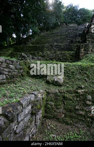 Bonampak, un site archéologique Maya ancien dans l'État mexicain du Chiapas.Le site se trouve à environ 30 km au sud du plus grand site de Yaxchilan, sous lequel Bonampak était une dépendance, et la frontière avec le Guatemala.Le site est bien connu pour un certain nombre de peintures murales, surtout celles situées dans la structure 1 (le Temple des peintures murales).La construction des structures du site date de la période classique précoce (env.A.D. 580 à 800).Bonampak a été redécouvert en 1946 par le photographe Giles Healy, qui a été conduit à lui par le local Lacandon Maya qui a toujours visité le site pour prier dans l'ancien Banque D'Images