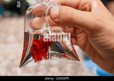 Gros plan d'un poisson de betta rouge ou d'un poisson de combat siamois à l'intérieur d'un conteneur à sac en plastique vendu comme animaux de compagnie dans le marché de week-end de Chatuchak à Bangkok City, en Thaïlande Banque D'Images