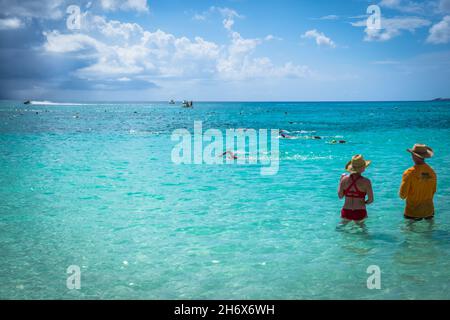 Nageurs dans la mer des Caraïbes lors d'une compétition de Seven Mile Beach, Grand Cayman, îles Caïman Banque D'Images