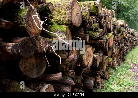 Grumes Feld pour bois de l'environnement stocké empilé Banque D'Images