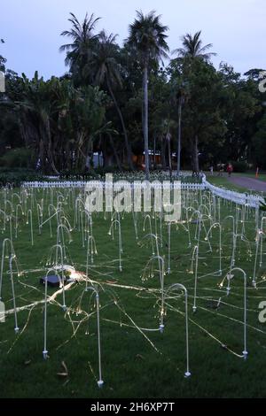 Installation de Bruce Munro Tropical Light dans George Brown Darwin Botanic Gardens, Darwin, territoire du Nord, Australie Banque D'Images