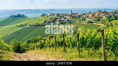 Belles collines et vignobles entourant Treiso, dans la région de Langhe.Cuneo, Piémont, Italie. Banque D'Images