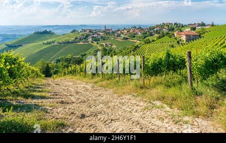 Belles collines et vignobles entourant Treiso, dans la région de Langhe.Cuneo, Piémont, Italie. Banque D'Images