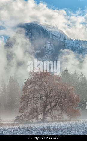 Une nouvelle couverture de neige fraîche couvre la vallée de Yosemite à Cook Meadow après une tempête de nuit, parc national de Yosemite, Californie, États-Unis. Banque D'Images