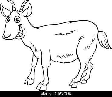 Dessin animé noir et blanc illustration de la ferme de chèvre drôle animal caractère coloriage page livre Illustration de Vecteur