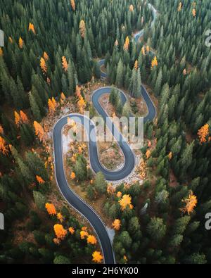 Vue aérienne sur la célèbre route de Snake près de Passo Giau dans les Alpes Dolomites.Route sinueuse de montagnes dans une forêt luxuriante avec des mélèzes d'orange et de l'épinette verte en automne.Dolomites, Italie Banque D'Images