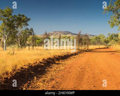 Mornington Road traversant la savane près de Mount House, Kimberley, Australie occidentale Banque D'Images