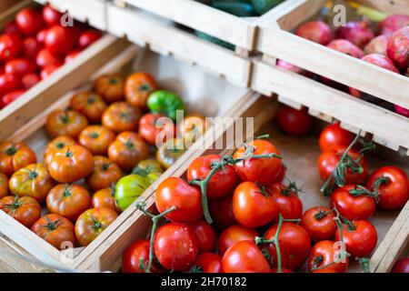 Récolte de tomates mûres de différentes variétés en caisses sur le comptoir Banque D'Images