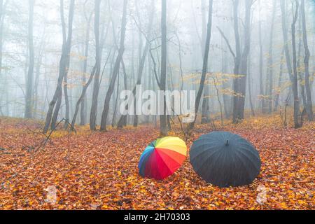 Deux ombrelles sur des feuilles sèches dans la forêt d'automne Banque D'Images