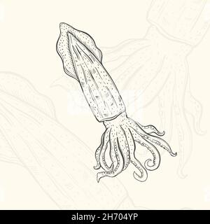 Illustration squid sketch food.menu de conception d'éléments dessinés à la main.Objet isolé sur fond blanc Illustration de Vecteur