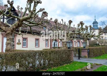 HOEXTER, ALLEMAGNE - 04 avril 2021 : une rangée d'arbres osseux avec haies et herbe devant des maisons plates en Allemagne Banque D'Images