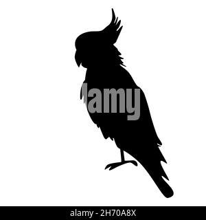 Silhouette perroquet isolée sur fond blanc.Icône Cockatoo.Logo Popinjay.Australie et Indonésie orientale oiseaux sauvages.Illustration du vecteur de stock Illustration de Vecteur