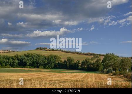 Val d'Orcia, Toscane, Italie.Août 2020.Une superbe image emblématique de la région : une ferme au sommet d'une colline avec la route d'accès bordée de cyprès.Être Banque D'Images