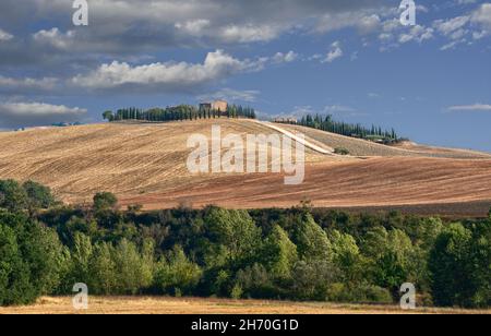 Val d'Orcia, Toscane, Italie.Août 2020.Une superbe image emblématique de la région : une ferme au sommet d'une colline avec la route d'accès bordée de cyprès.Être Banque D'Images