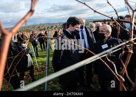 Pouilly-le-Monial (France), 18 novembre 2021.Julien Denormandie, ministre de l'Agriculture, était en visite dans la région du Beaujolais à l'occasion du l Banque D'Images