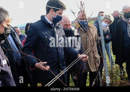 Pouilly-le-Monial (France), 18 novembre 2021.Julien Denormandie, ministre de l'Agriculture, était en visite dans la région du Beaujolais à l'occasion du l Banque D'Images