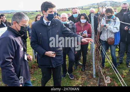 Pouilly-le-Monial (France), 18 novembre 2021.Julien Denormandie, ministre de l'Agriculture, était en visite dans la région du Beaujolais à l'occasion du l Banque D'Images