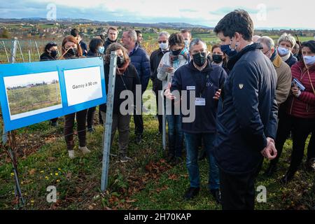 Pouilly-le-Monial (France), 18 novembre 2021.Julien Denormandie, ministre de l'Agriculture, était en visite dans la région du Beaujolais à l'occasion du l Banque D'Images