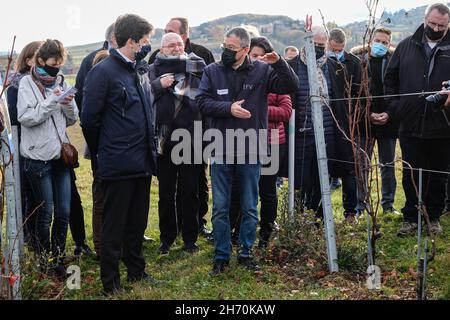 Pouilly-le-Monial (France), 18 novembre 2021.Julien Denormandie, ministre de l'Agriculture, était en visite dans la région du Beaujolais à l'occasion du l Banque D'Images