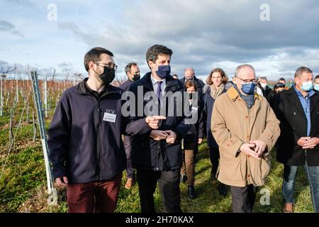 Pouilly-le-Monial (France), 18 novembre 2021.Julien Denormandie, ministre de l'Agriculture, était en visite dans la région du Beaujolais à l'occasion du l Banque D'Images