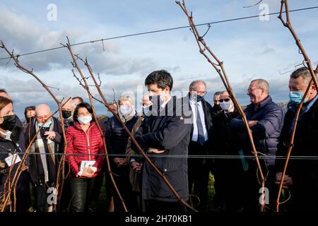 Pouilly-le-Monial (France), 18 novembre 2021.Julien Denormandie, ministre de l'Agriculture, était en visite dans la région du Beaujolais à l'occasion du l Banque D'Images