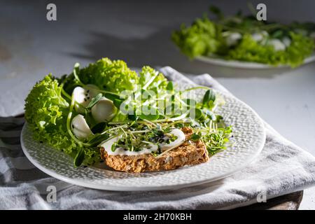 Petit déjeuner avec micro-vert sur une assiette.Pain grillé, fromage mozzarella, sauce à la crème.Nourriture avec pousses vertes de micro-vert.Une alimentation saine.Une alimentation simple et saine.Salade avec pousses de tournesol, arugula, radis, moutarde. Banque D'Images