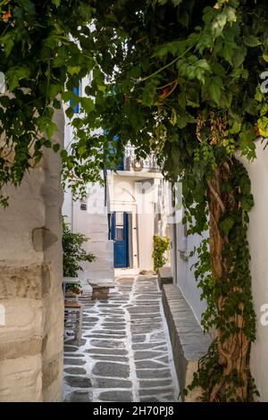 Paros est une île grecque située dans la mer Égée, mieux connue pour ses plages et ses villages traditionnels.Parikia, la capitale de la baie, est un bateau pour le Cyc Banque D'Images