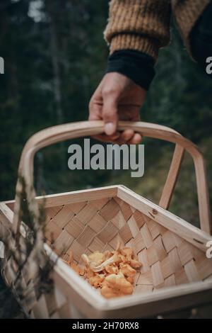 Panier de maintien à la main avec chanterelle Banque D'Images