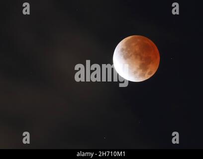 Brooklyn, États-Unis.19 novembre 2021.L'éclipse lunaire partielle la plus longue en centaines d'années se met dans le ciel tôt le matin à New York le vendredi 19 novembre 2021.C'était l'éclipse lunaire partielle la plus longue depuis le XVe siècle.Photo de John Angelillo/UPI crédit: UPI/Alay Live News Banque D'Images