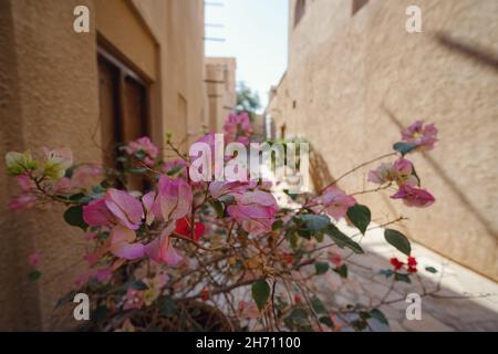 Vieux Dubaï.Rues arabes traditionnelles dans le quartier historique d'Al Fahidi, Al Bastakiya.Dubaï, Émirats arabes Unis.Après-midi ensoleillé et lumineux sur une rue en pierre dans une ville orientale traditionnelle. Banque D'Images