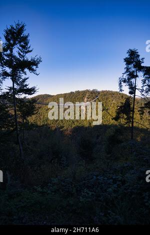 Vue sur le paysage depuis le pont suspendu de Geierlay.Magnifique paysage pour la randonnée Banque D'Images