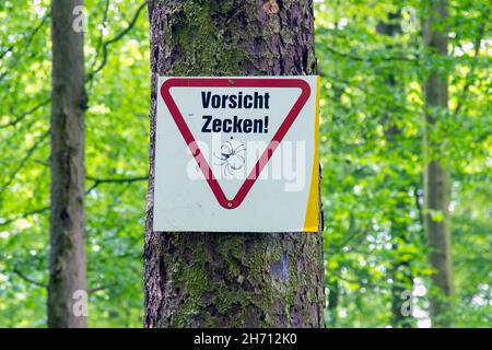 Panneau d'avertissement « attention ticks » sur un chemin forestier, Schleswig-Holstein, Allemagne Banque D'Images