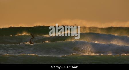 Surf à Skaill Bay, Orcades Banque D'Images