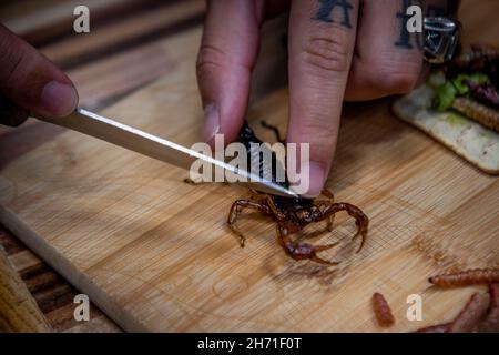 Mexiko Stadt, Mexique.18 novembre 2021.Un homme coupe un scorpion sur une planche de bois dans un marché mexicain.Dans la cuisine mexicaine les insectes viennent très souvent, et sous forme de poudre, séchés, congelés, avec et sans ailes ou jambes.Credit: Jair Cabrera/dpa/Alay Live News Banque D'Images