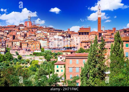 Sienne, Italie. Paysage d'été de Sienne, une belle ville médiévale en Toscane, coucher de soleil sur Torre del Mangia Banque D'Images