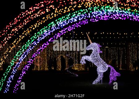 Unicorn illuminé en Rainbow Land - événement des lumières d'hiver à l'arboretum de Caroline du Nord - Asheville, Caroline du Nord, États-Unis Banque D'Images