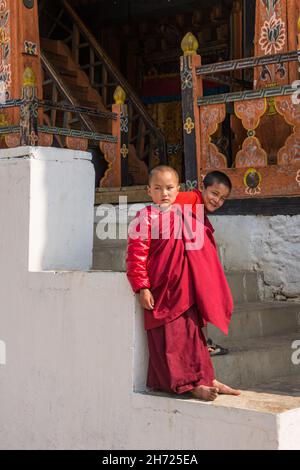 Jeunes moines bouddhistes novices à l'école monastique Dechen Phodrang à Thimphu, Bhoutan. Banque D'Images