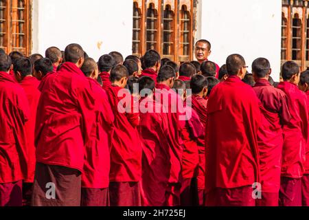 Jeunes moines bouddhistes à l'école monastique Dechen Phodrang à Thimphu, Bhoutan. Banque D'Images