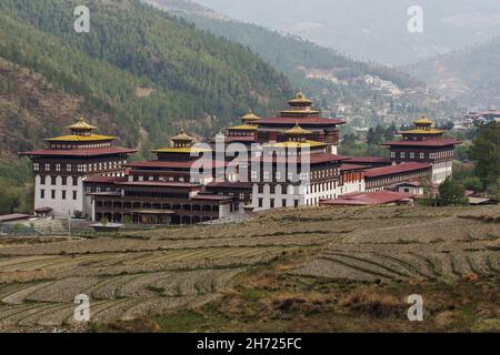 Les rizières sont readies pour la plantation devant le Thimphu Dzong à Thimphu, au Bhoutan. Banque D'Images