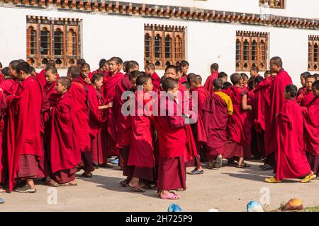 Jeunes moines bouddhistes à l'école monastique Dechen Phodrang à Thimphu, Bhoutan. Banque D'Images