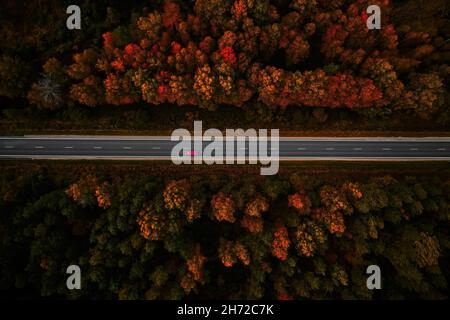 Vue aérienne de l'épaisse forêt en automne avec la découpe de la route Banque D'Images