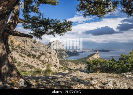 Pins et cap Kapchik en arrière-plan.Magnifique paysage sur la mer Noire.Novyi Svit, Crimée, Sudak Banque D'Images